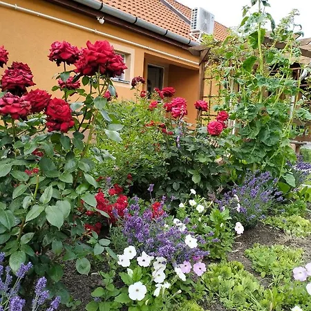 Ferienwohnung Levendulas Haz Hajdúszoboszló Exterior foto